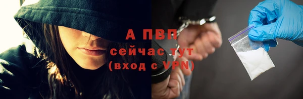 гашик Белокуриха
