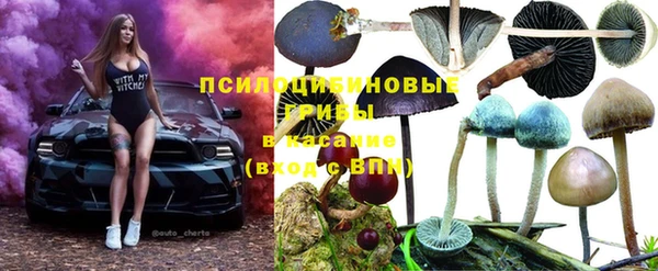 гашик Белокуриха