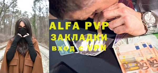 гашик Белокуриха