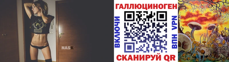 Псилоцибиновые грибы Psilocybe  Циолковский 